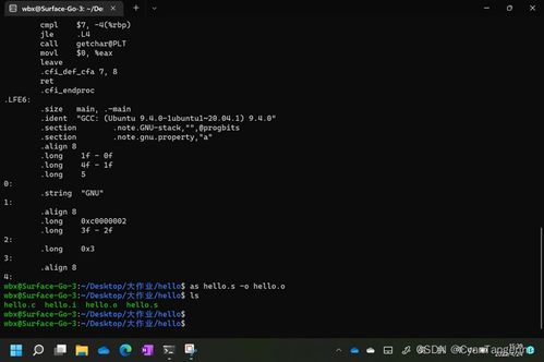 程序人生 從Hello World到P2P的計(jì)算機(jī)系統(tǒng)之旅——哈工大2022大作業(yè)解析