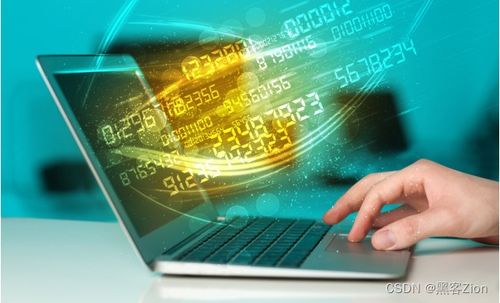 計(jì)算機(jī)安全技術(shù) 多元就業(yè)方向與廣闊發(fā)展前景